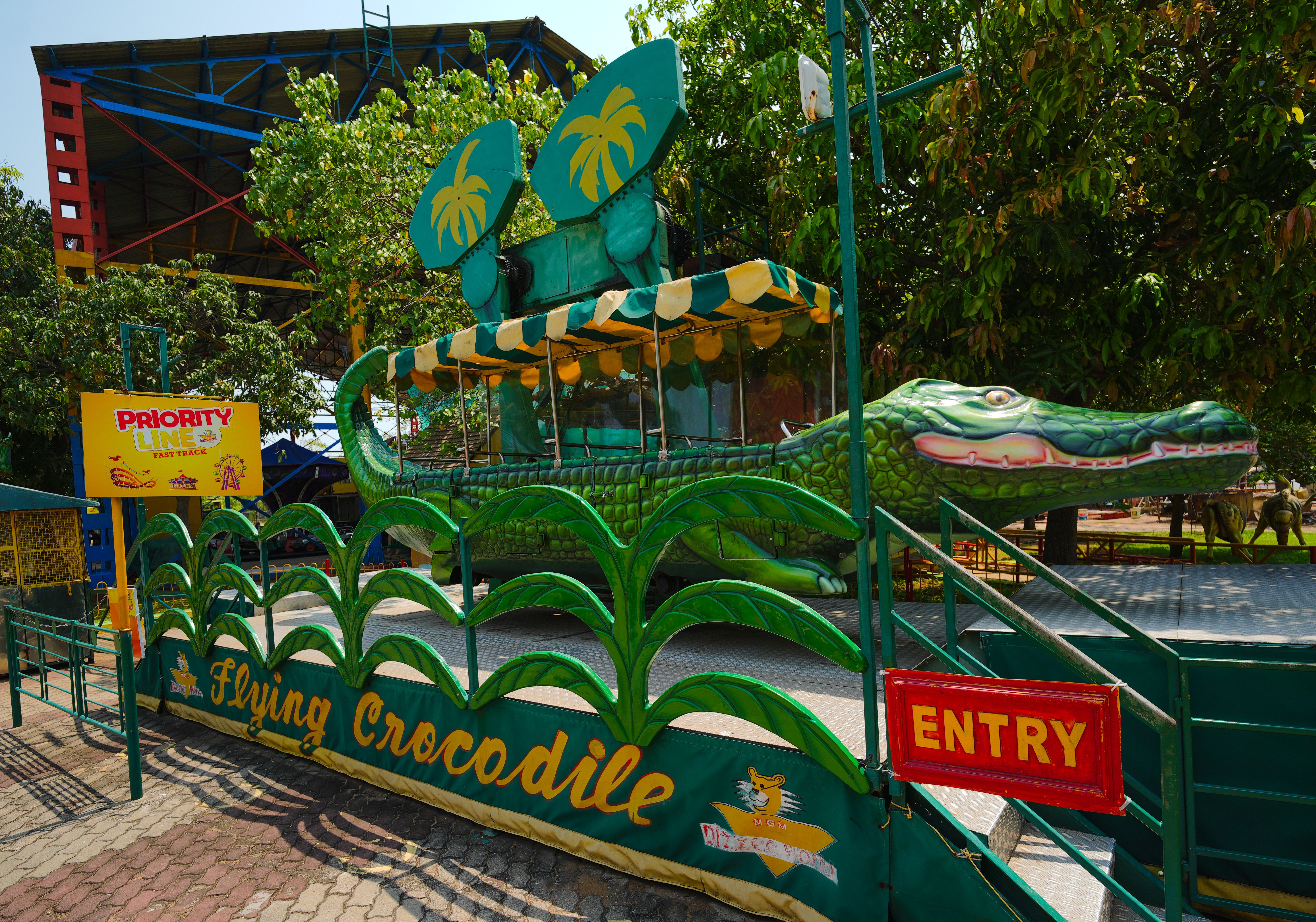Crocodile