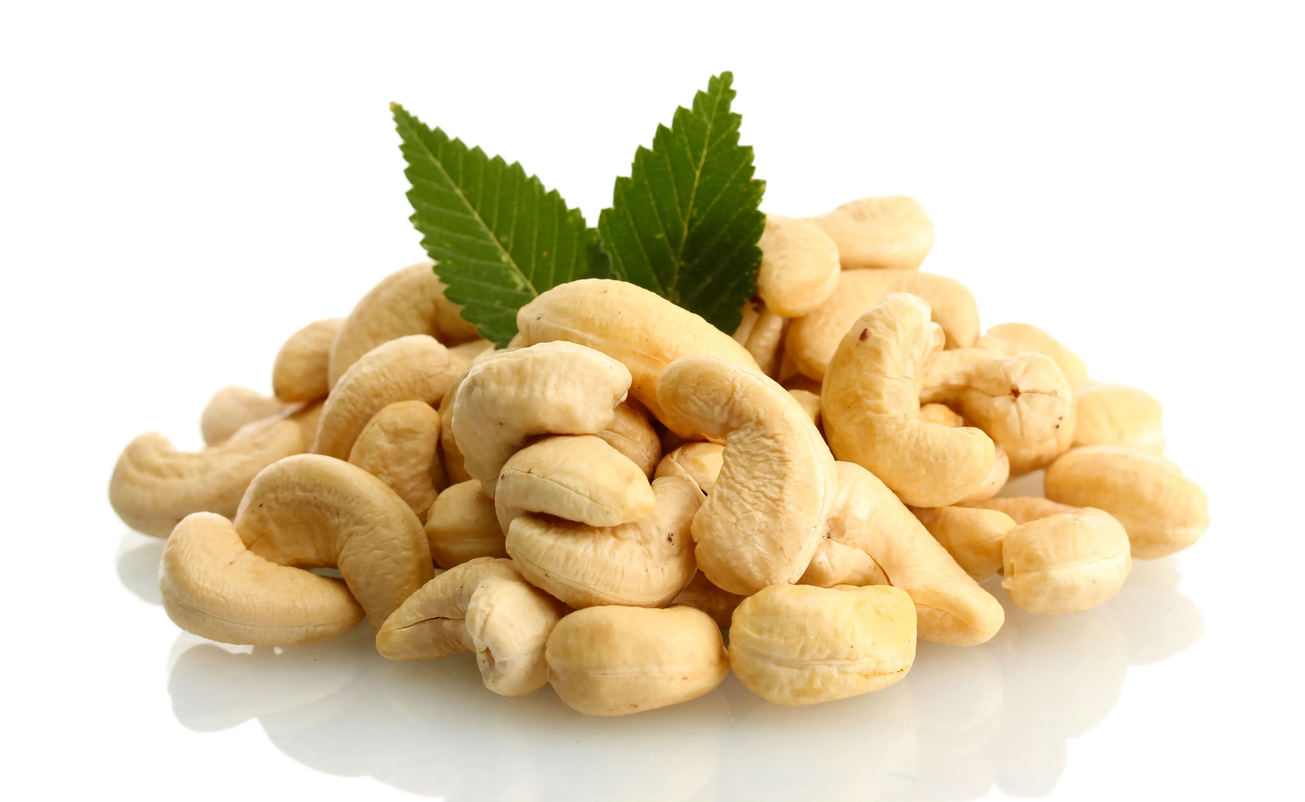 Cashew
